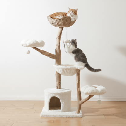 Cleo Cat Tower | Spacious Solid Wood Cat Tree 2